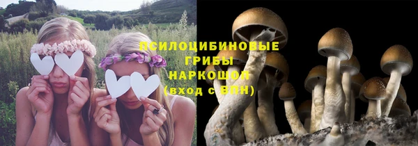 ПСИЛОЦИБИНОВЫЕ ГРИБЫ Нефтегорск