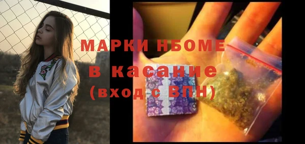 сатива Нефтекумск