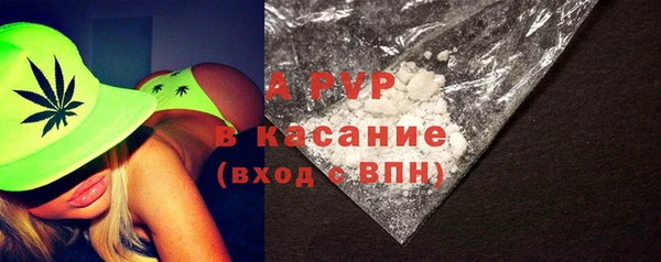 сатива Нефтекумск