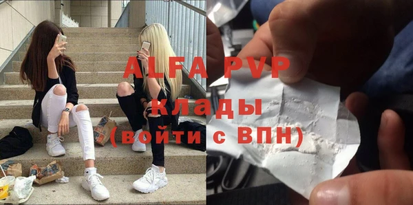 сатива Нефтекумск