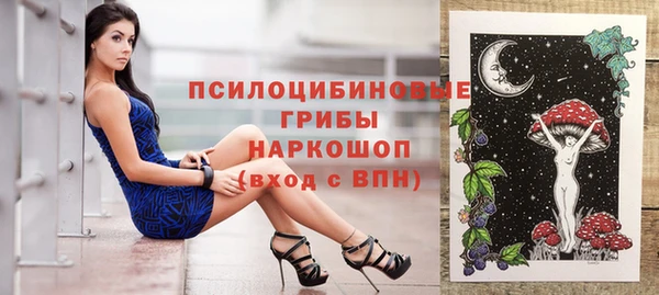 сатива Нефтекумск