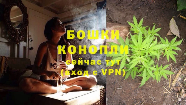 ПСИЛОЦИБИНОВЫЕ ГРИБЫ Нефтегорск