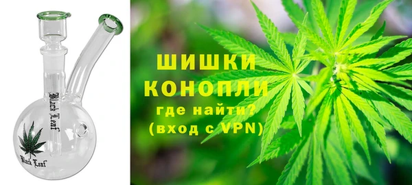 сатива Нефтекумск