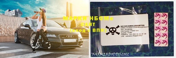 сатива Нефтекумск