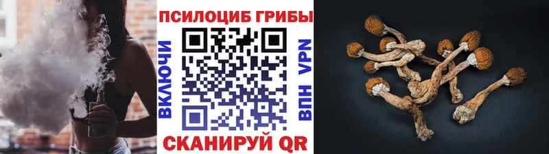 Псилоцибиновые грибы GOLDEN TEACHER  Нерехта 